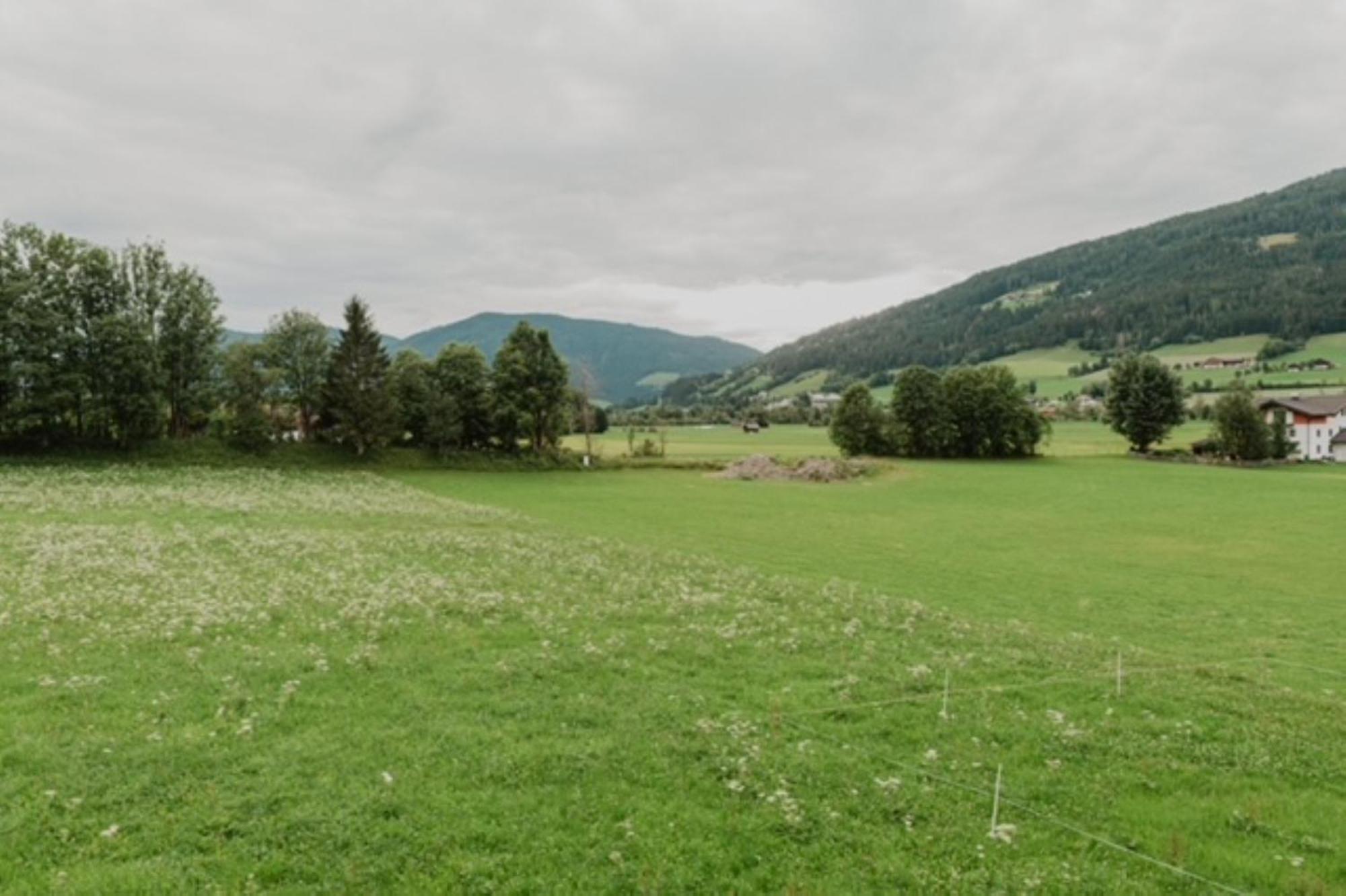 Farm stay Kugellehen Radstadt